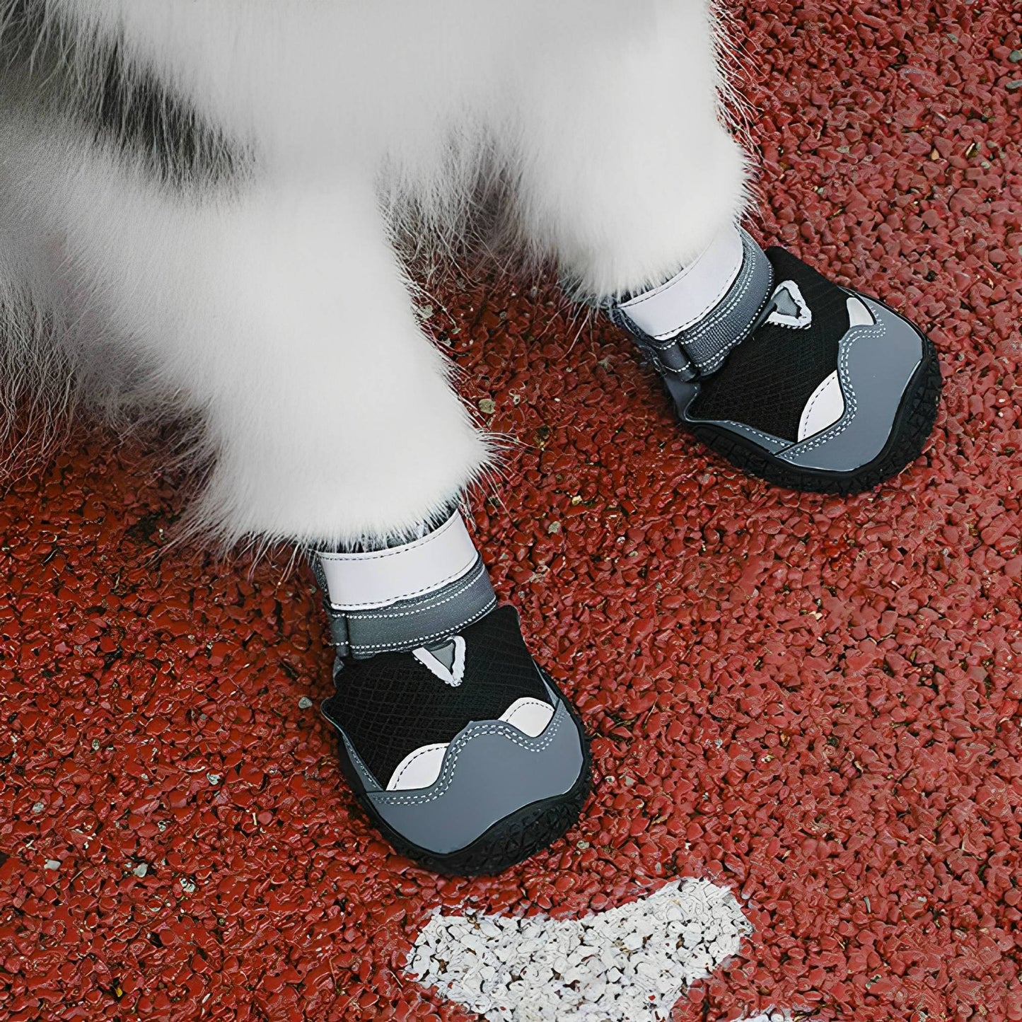 trailpaws - beschermende antislip hondenschoenen - mivero