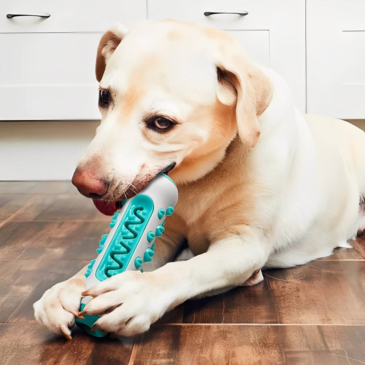 tuffbite - honden kauwbot vulbaar met snacks - mivero