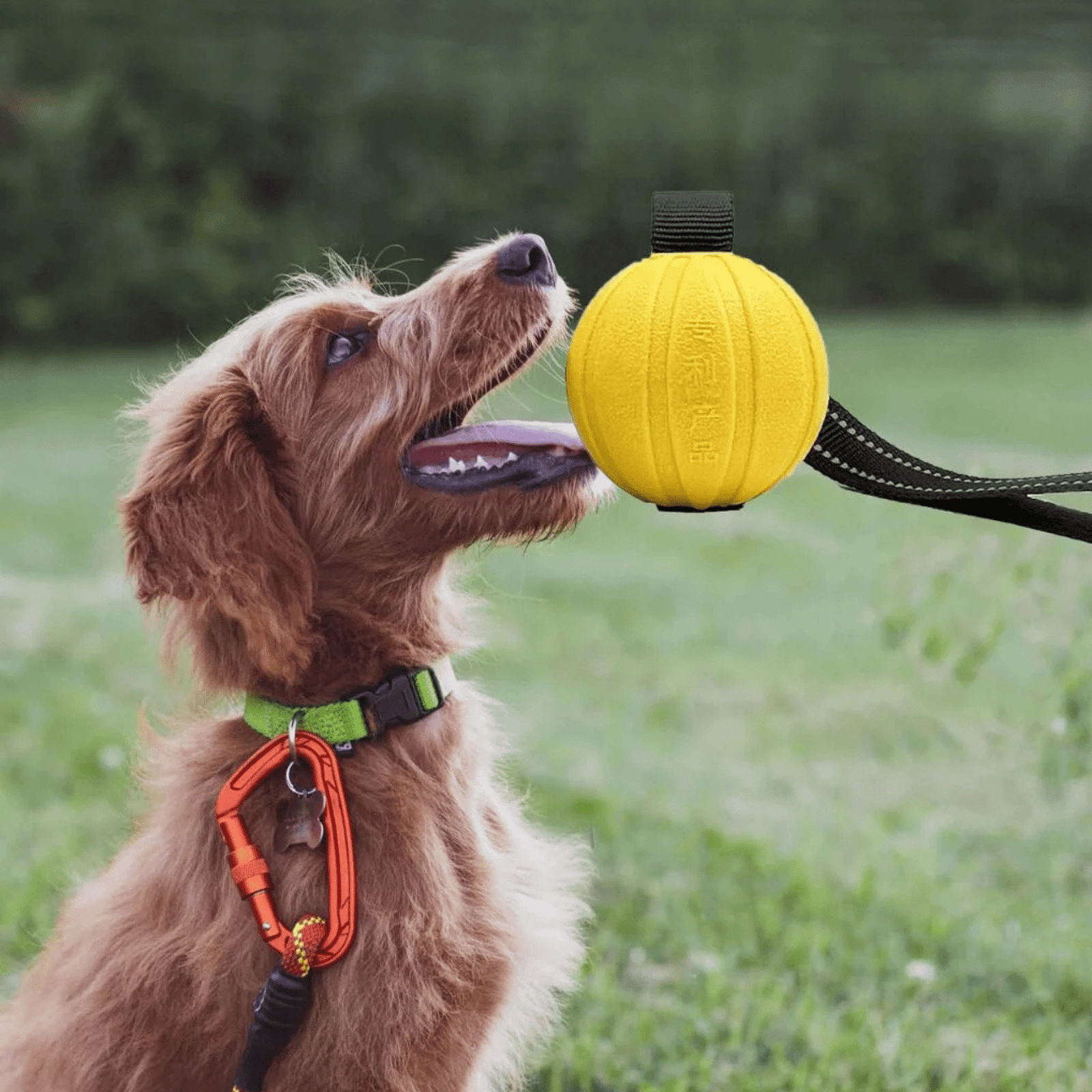 TuffFetch - Drijvende Kauwbestendige Hondenbal - Mivero