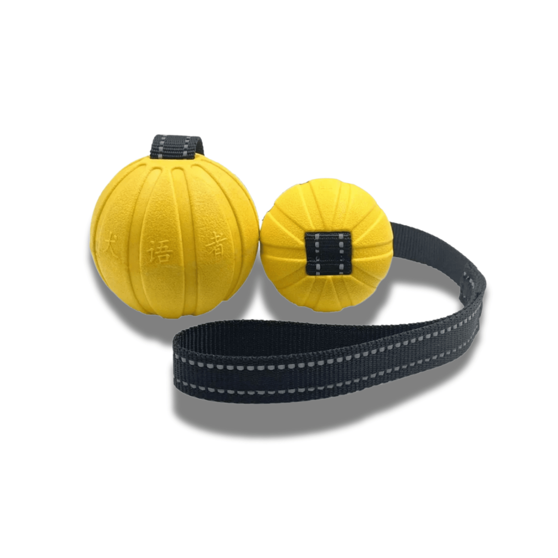 TuffFetch - Drijvende Kauwbestendige Hondenbal - Mivero