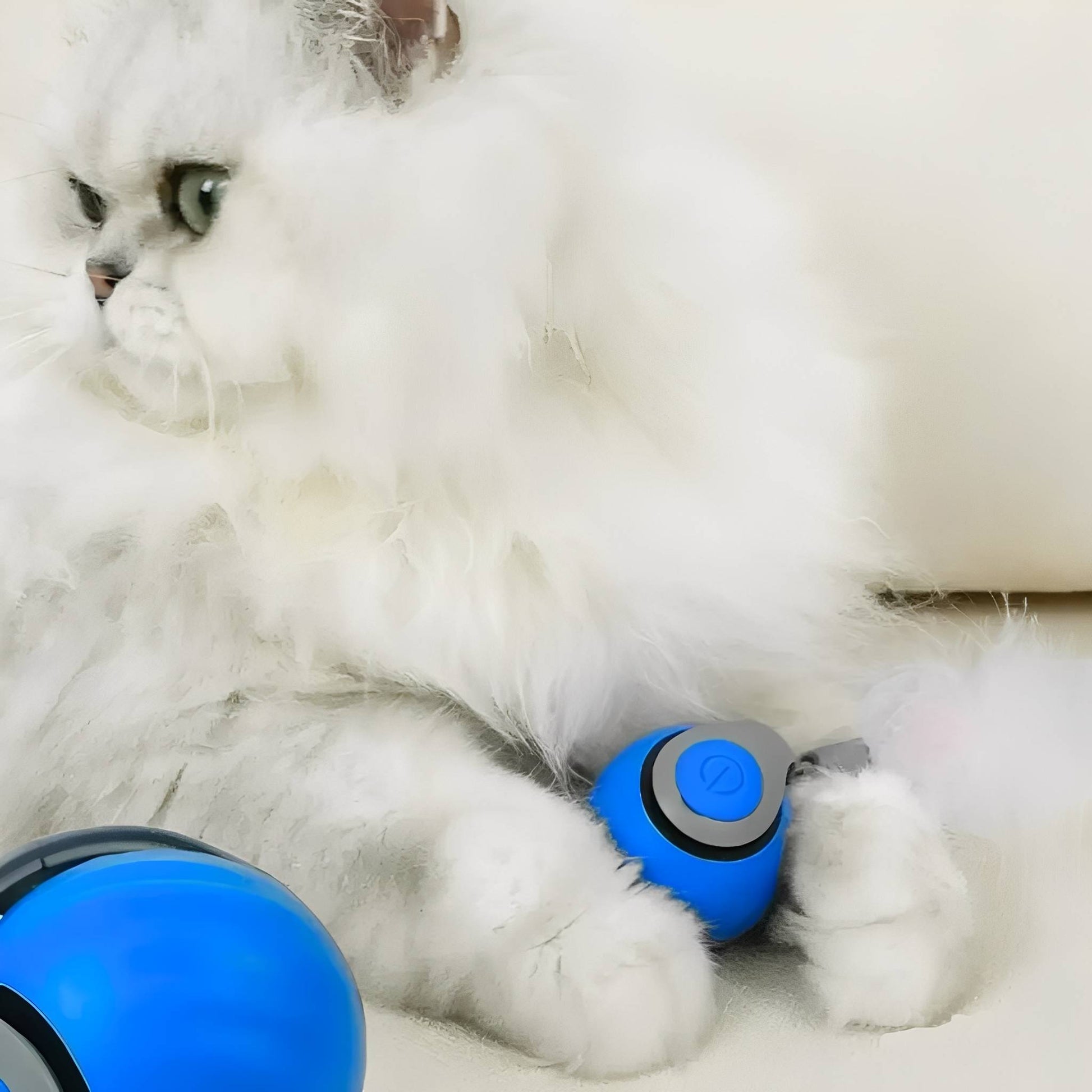 Zoomball 2.0 - Houdt Katten Actief en Speels - Mivero