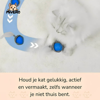 Zoomball 2.0 - Houdt katten actief en speels - Mivero