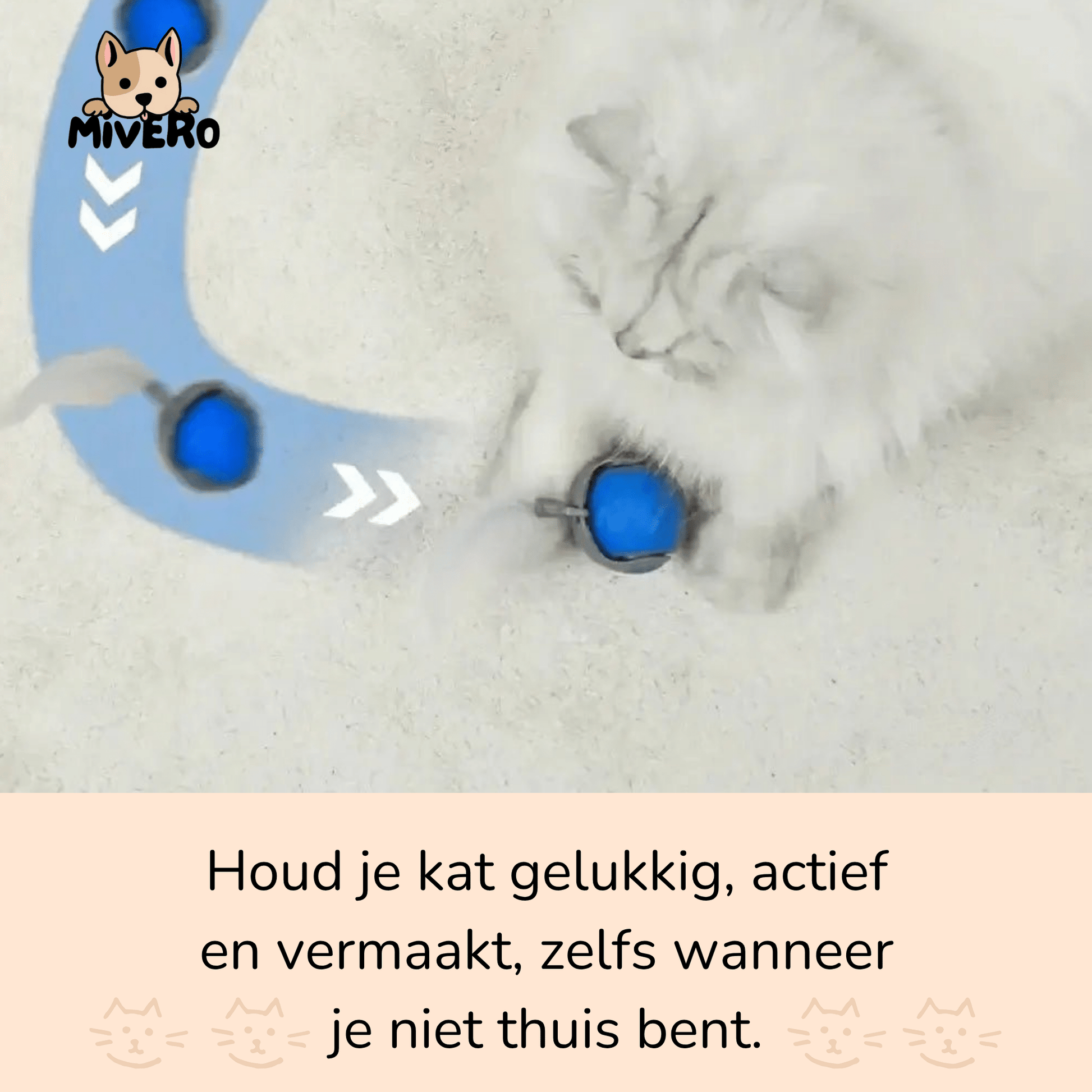 Zoomball 2.0 - Houdt katten actief en speels - Mivero