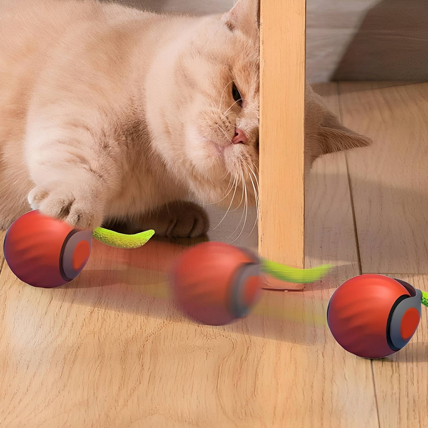 zoomball 2.0 - houdt katten actief en speels - mivero