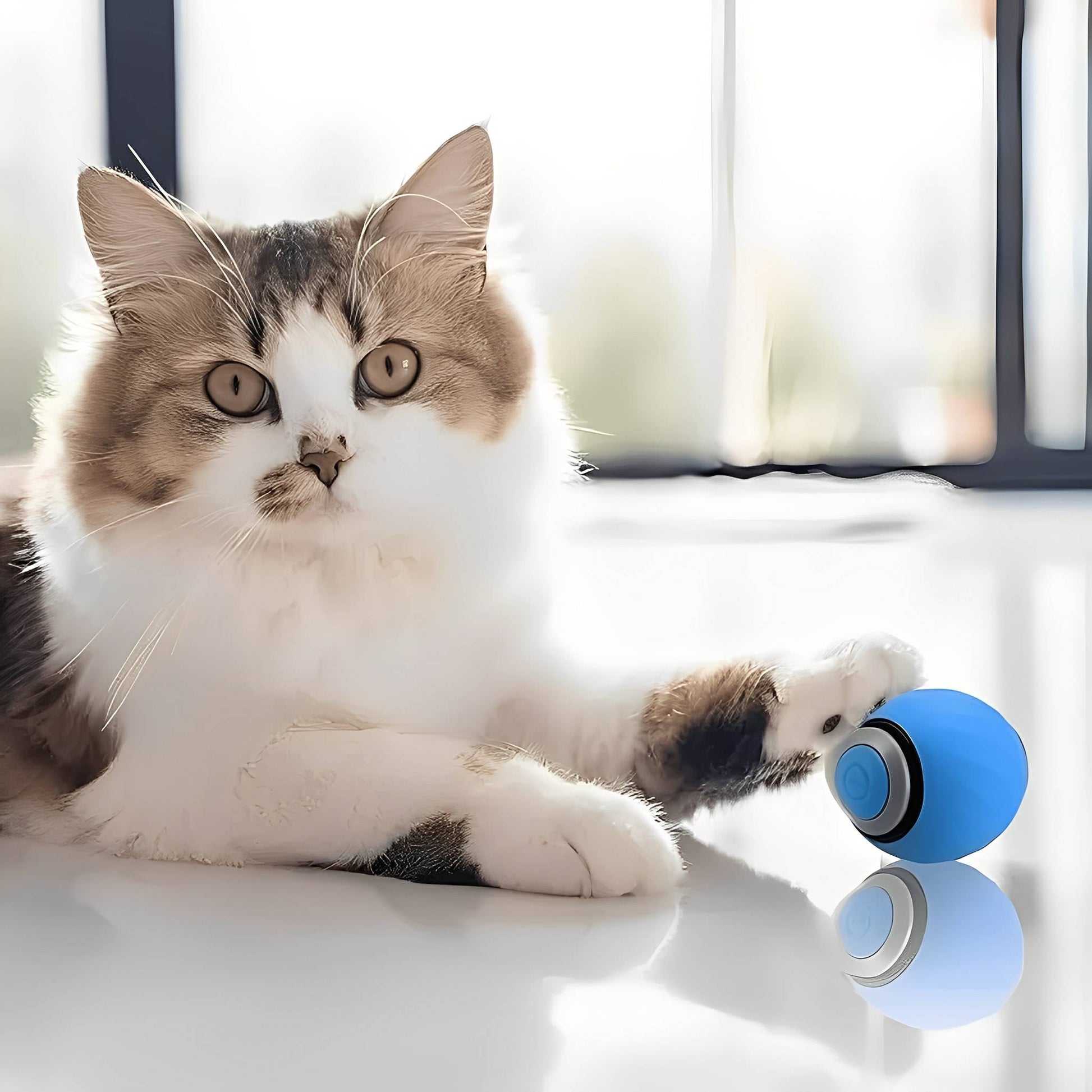 Zoomball 2.0 - Houdt katten actief en speels - Mivero