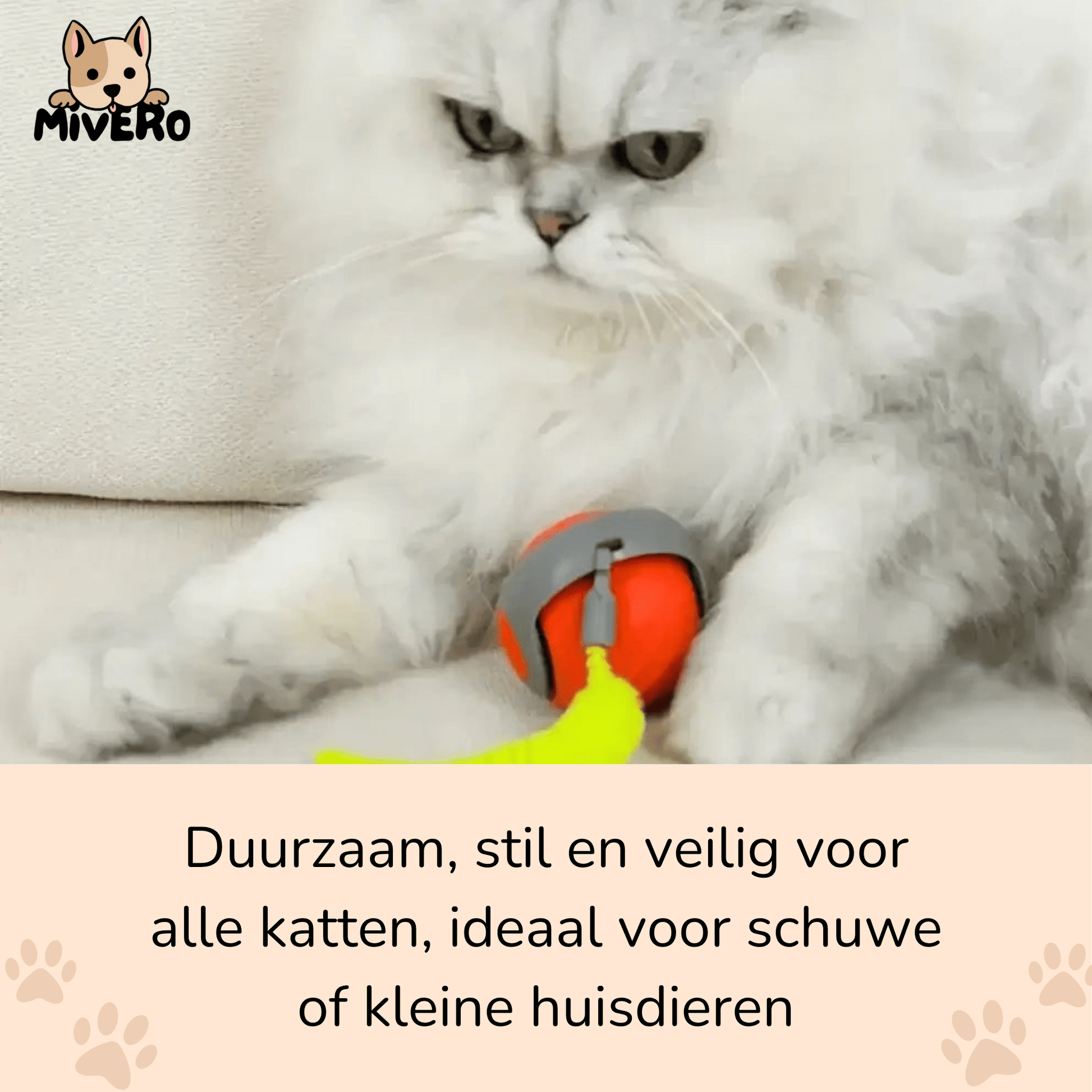 Zoomball 2.0 - Houdt katten actief en speels - Mivero