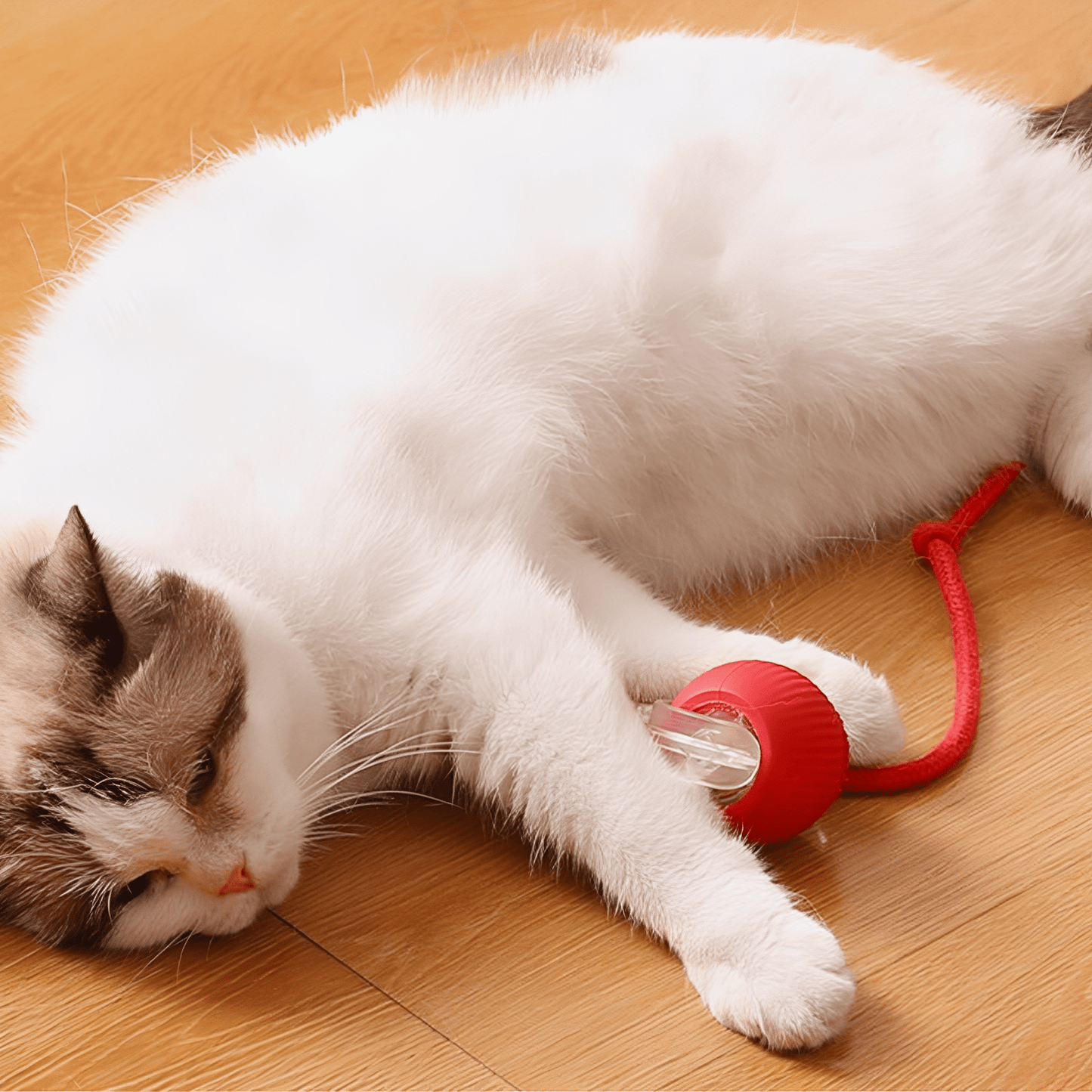 zoomball - kattenspeelgoed interactief automatisch usb oplaadbaar - mivero