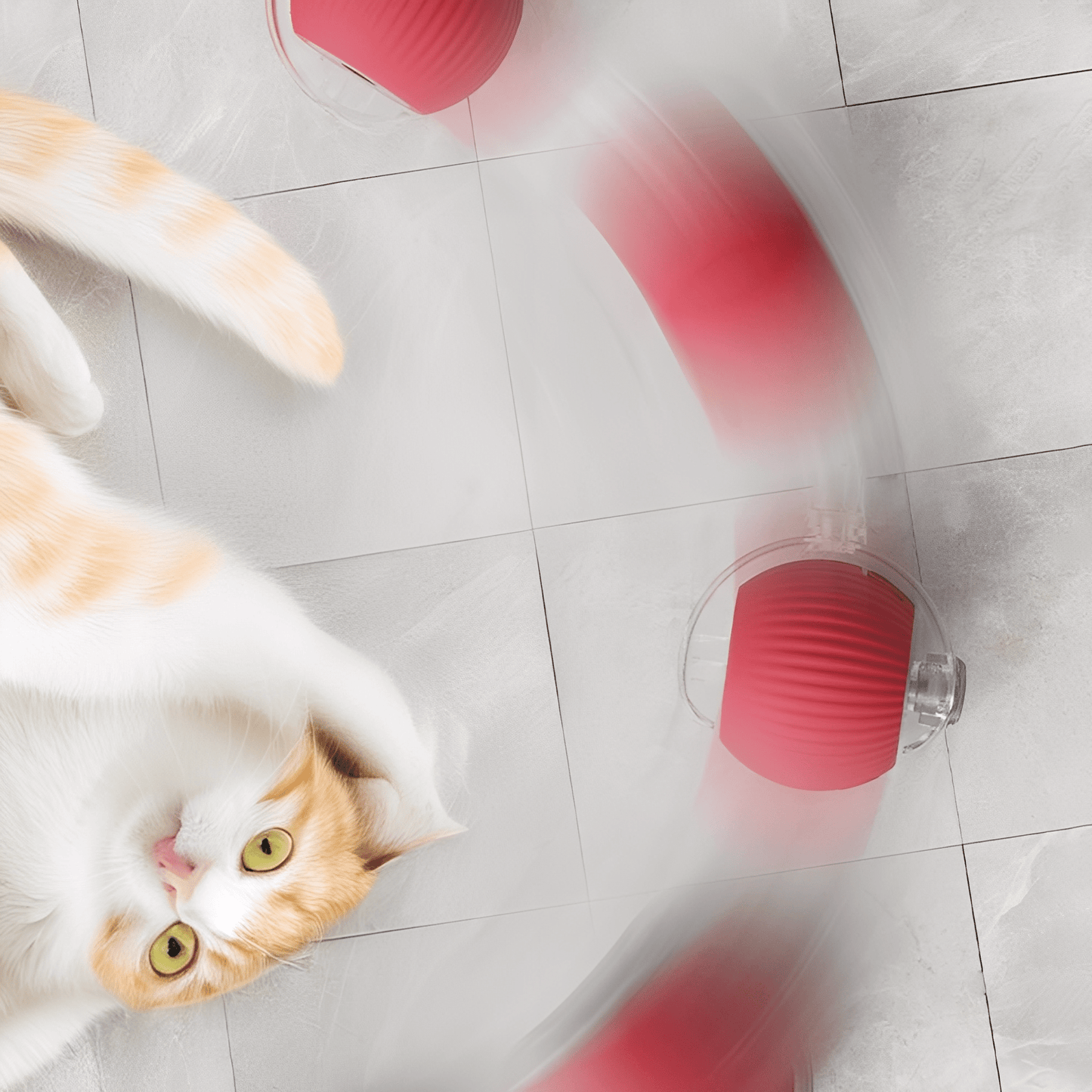 zoomball - kattenspeelgoed interactief automatisch usb oplaadbaar - mivero