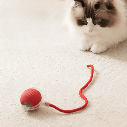 ZoomBall - Kattenspeelgoed Interactief Automatisch USB Oplaadbaar - Mivero