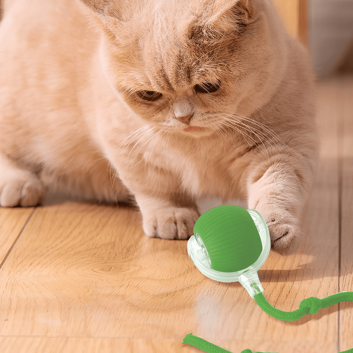 zoomball - kattenspeelgoed interactief automatisch usb oplaadbaar - mivero